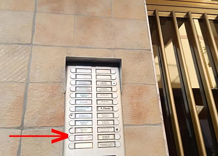 Pink Fox - Family - *